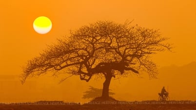 ផ្លូវប្រទេស