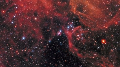Supernovae 'បណ្តាលឱ្យមានការផុតពូជយ៉ាងតិចពីរនៅលើផែនដី'