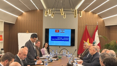 Tiềm năng và cơ hội tăng cường xuất khẩu sang thị trường Lebanon