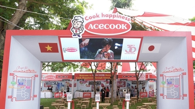 Acecook Vietnam brings 30th anniversary message to the 10th Vietnam-Japan festival