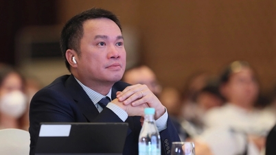 The family relationship of billionaire Ho Hung Anh with the real estate giant