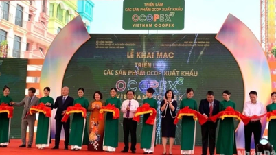 Mejorar la capacidad de producción y la calidad de exportación de los productos de la OCOP