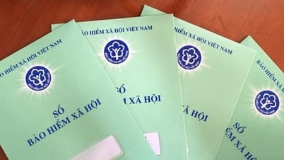 6 حالات يجب أن تشترك في التأمينات الاجتماعية اعتبارًا من 1 يوليو