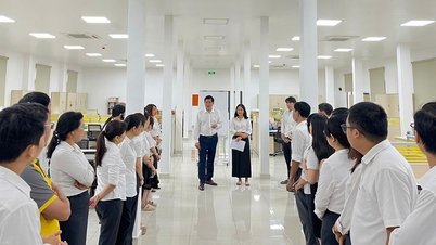 Bưu điện TP. Hồ Chí Minh lan tỏa tinh thần quyết tâm “Chiến đấu vì chất lượng”