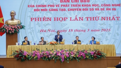 Phiên họp thứ nhất Ban Chỉ đạo Chính phủ về phát triển KHCN, đổi mới sáng tạo, chuyển đổi số và Đề án 06