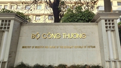 A series of violations were discovered at many units under the Ministry of Industry and Trade.
