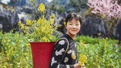 Hà Giang - Hoa trên đá núi