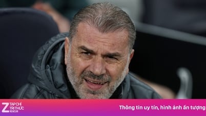 토트넘, 포스테코글루 감독 해임에 막대한 자금 투입