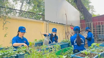 យុវជន​ចូល​រួម​យ៉ាង​សកម្ម​ក្នុង​ការ​ស្ម័គ្រ​ចិត្ត​កសាង​ជនបទ និង​ទីក្រុង​ស៊ីវិល័យ