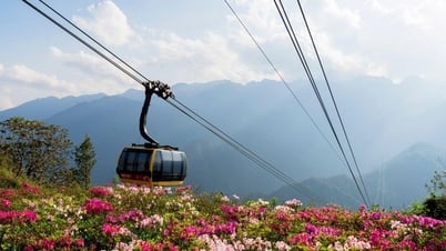 ท่องเที่ยวฟานซิปันช่วงฤดูกุหลาบพันปีและเทศกาลกุหลาบ