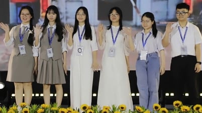 Ciudad Ho Chi Minh acoge por tercera vez una competición nacional de ciencia y tecnología