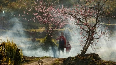 Miền đá nở hoa