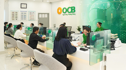 Hai con gái Chủ tịch Ngân hàng Phương Đông bán ra 95 triệu cổ phiếu