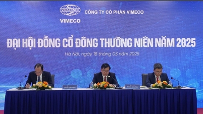 Vimeco Shareholders' Meeting: Do not lose your strengths when Vinaconex divests capital