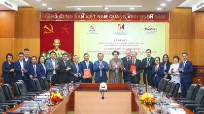 Signing a contract to supply Vietnamese workers to work as nursing assistants in Germany