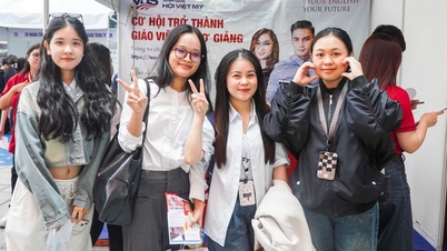 Final year students "hunt" for jobs at recruitment fairs