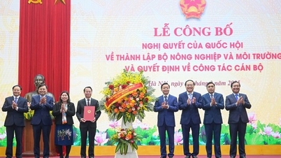 Commendation for leaders of two ministries who sacrificed personal interests