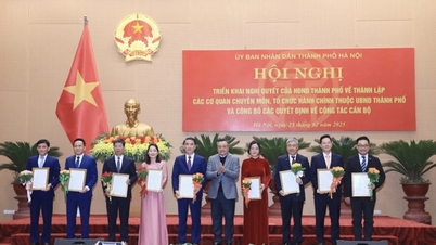 Regulations on functions, tasks and powers of Hanoi Department of Finance