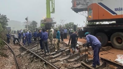 Train derailment after hitting car: North-South railway line will be reopened this morning