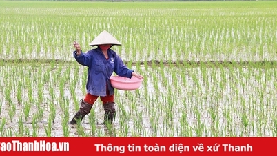 ท้องถิ่นส่งเสริมการผลิตพืชผลฤดูใบไม้ผลิในปี 2568