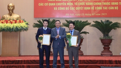 Quy định chức năng, nhiệm vụ, quyền hạn của Sở Dân tộc và Tôn giáo