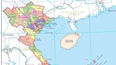 Informe al Politburó sobre la política de fusión de algunas unidades a nivel provincial, sin organizarse a nivel de distrito, a más tardar el 9 de marzo.