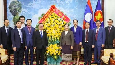 Continuously fostering the special solidarity relationship between Vietnam and China