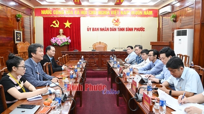 Binh Phuoc ធ្វើការជាមួយគណៈប្រតិភូក្រុមហ៊ុន Nuriflex Korea នៅវៀតណាម