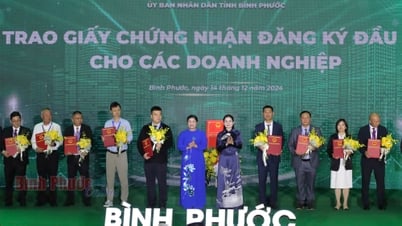 Binh Phuoc ផ្តល់វិញ្ញាបនបត្រដល់វិនិយោគិនចំនួន 32 ដែលមានដើមទុនសរុប 628.7 លានដុល្លារ