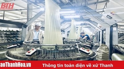 Trieu Son - "ដីមានជីជាតិ" សម្រាប់គម្រោងវិនិយោគ និងអភិវឌ្ឍន៍
