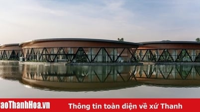 แรงบันดาลใจในขุนเขาและป่าไม้ สถานที่จัดงานที่สมบูรณ์แบบ