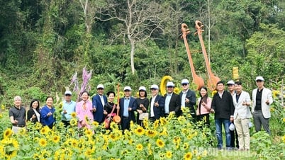 Tọa đàm kết nối du lịch các tỉnh