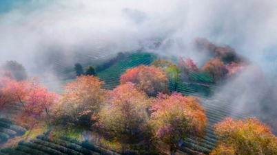 Results of the international photo contest "Congo 2025" in the Republic of Congo