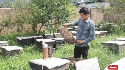 ផលិតផល OCOP Van Ho