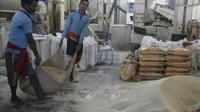 Os preços de exportação do arroz indiano atingem o nível mais alto em quase um mês.