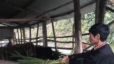 Gặp tỷ phú của người La Hủ ở Mường Tè