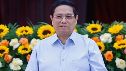 Prime Minister works with Ho Chi Minh City, Ba Ria - Vung Tau and Binh Duong