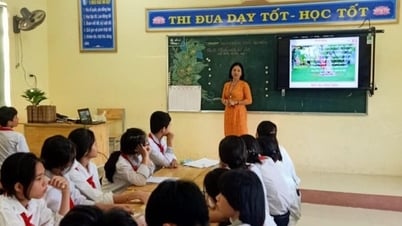 Vụ hơn 300 giáo viên bị truy thu 4,6 tỷ đồng: Phát hiện thêm 141 người nợ bảo hiểm