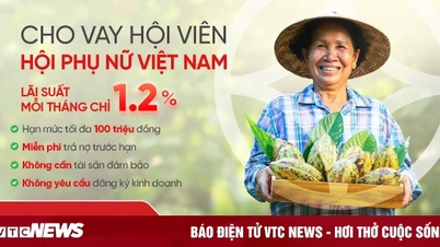 SeABank triển khai gói vay tín chấp 300 tỷ đồng lãi suất ưu đãi dành cho phụ nữ