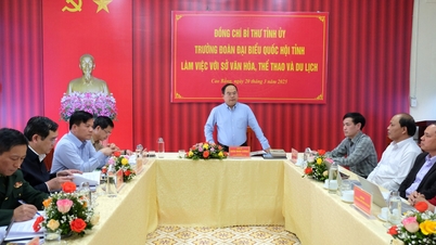 Bí thư Tỉnh ủy Quản Minh Cường làm việc với Sở Văn hóa, Thể thao và Du lịch