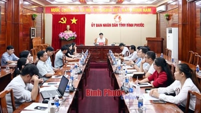 Nâng cao hiệu quả hợp tác ngành điều Việt Nam - Bờ Biển Ngà