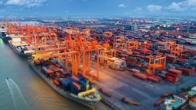 Chấp thuận chủ trương đầu tư cảng Long Sơn Mỹ Xuân hơn 2.300 tỷ đồng