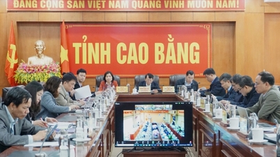 Government members' working delegation worked online with 3 provinces: Cao Bang, Bac Ninh, Lang Son