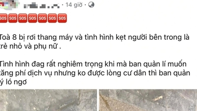 ពូបានរាយការណ៍ថា "ធ្លាក់ជណ្តើរយន្តជាមួយមនុស្សជាប់" នៅអគារផ្ទះល្វែង Dai Thanh