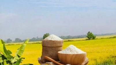 ការនាំចេញអង្ករកើនឡើង