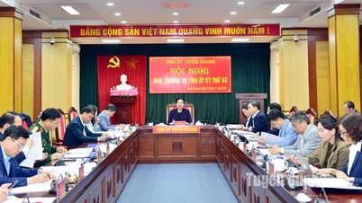 Ban Thường vụ Tỉnh ủy đánh giá thực hiện các nghị quyết của BCH Đảng bộ tỉnh