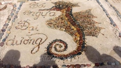 Unique contest 'Arranging artistic stones on sand'