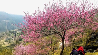 Ha Giang ស្ថិត​ក្នុង​តំបន់​ទស្សនា​ផ្កា​រីក​ដែល​គេ​ស្គាល់​តិច​បំផុត​ចំនួន 6 នៅ​អាស៊ី