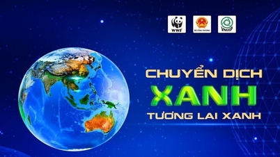 អគ្គិសនីដាកណុង ជាមួយនឹងសកម្មភាពជាច្រើនឆ្លើយតបទៅនឹងម៉ោងផែនដី