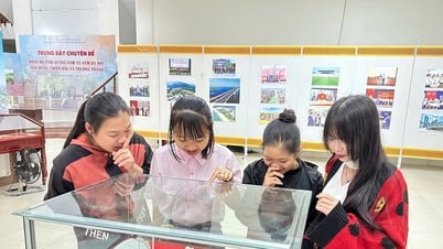 Bảo tàng Quảng Nam trưng bày chuyên đề chào mừng kỷ niệm 95 năm thành lập Đảng bộ tỉnh